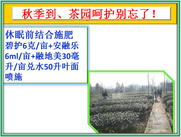 rrͨ߀^Ч@ѽ_ʼЄ